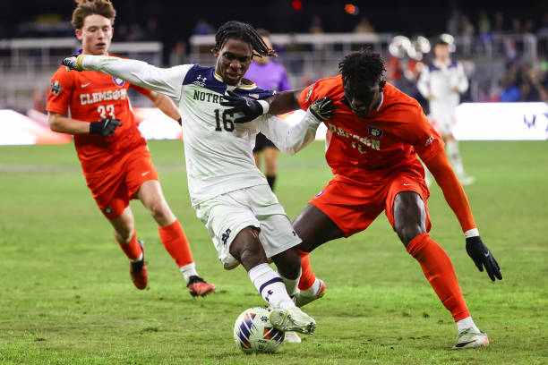 未来展望 未来展望